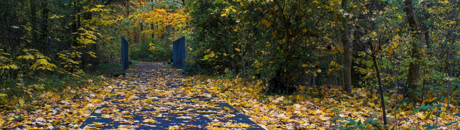 NOTICE - Public holiday 28. 10. 2024