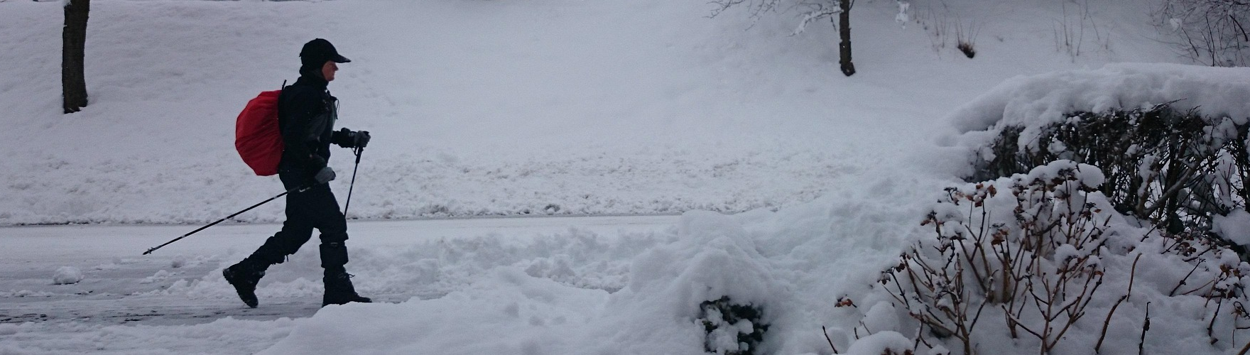 NOTICE - Christmas holidays from 21st Dec 2024 to 5th Jan 2025