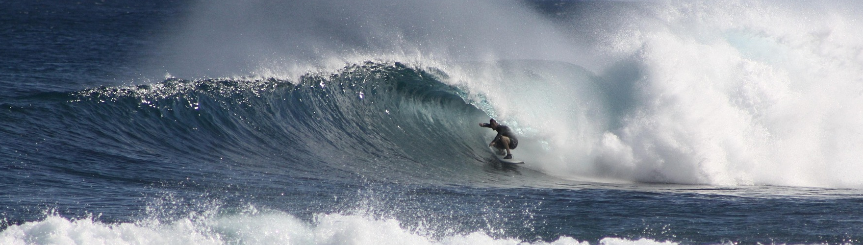 NOTICE - Company holidays 26. 7. - 10. 8. 2025