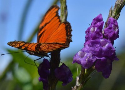 NOTICE - Public holiday 5. 7. 2024