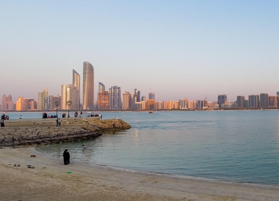 Thank you ... IDEX 2017