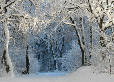 NOTICE - Christmas holidays from 20. 12…