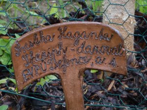 Support for Seniors - Jabloňová Home in…