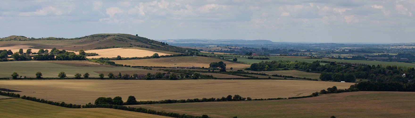 Environmental policy